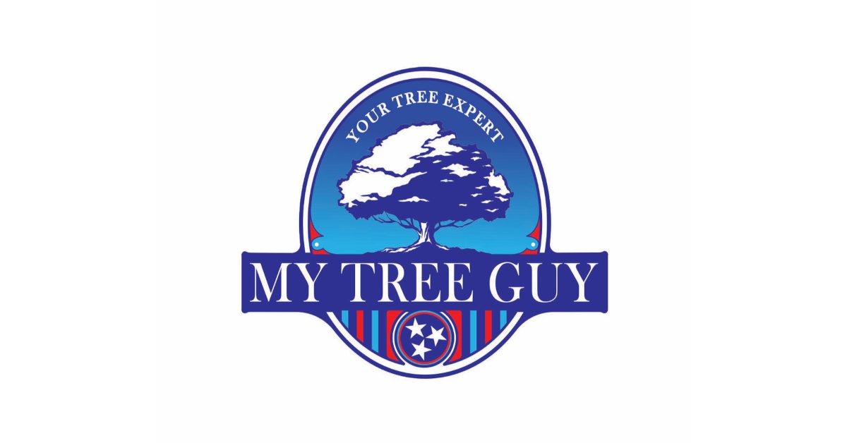 My Tree Guy