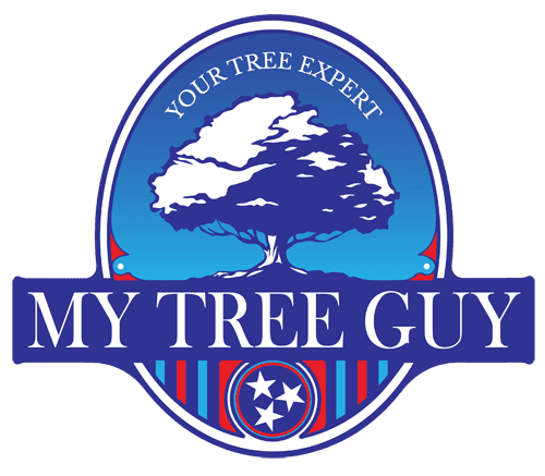 My Tree Guy