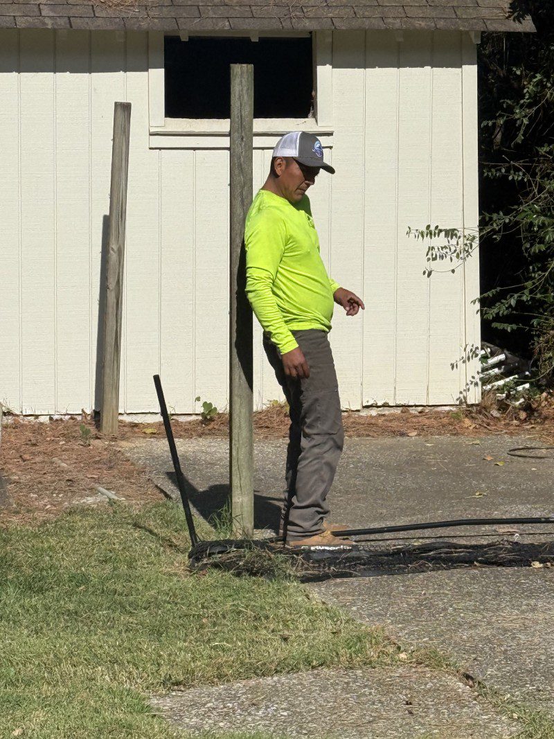 My Tree Guy, Nashville, TN