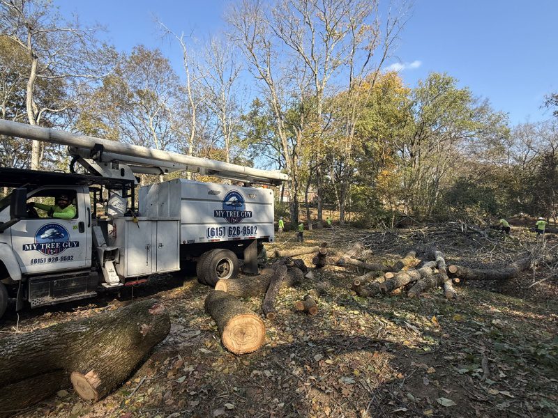 My Tree Guy, Nashville, TN