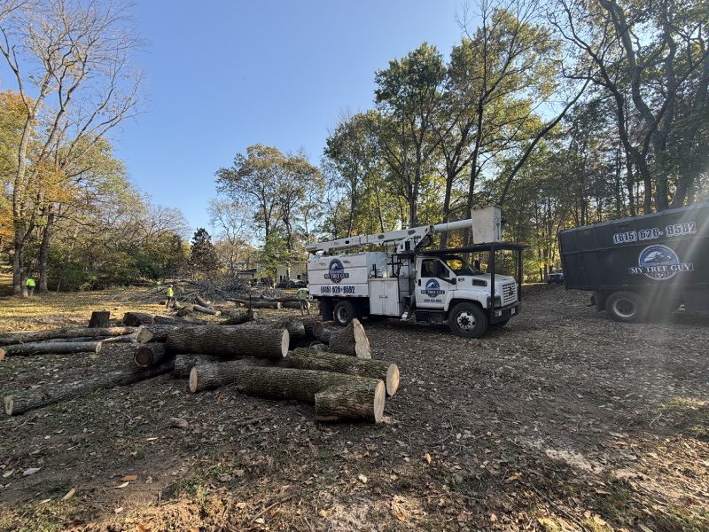 My Tree Guy, Nashville, TN