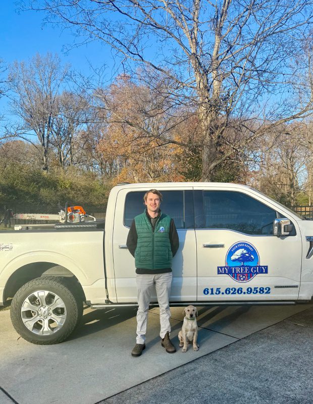 My Tree Guy, Nashville, TN