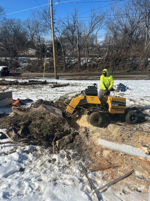 My Tree Guy, Nashville, TN