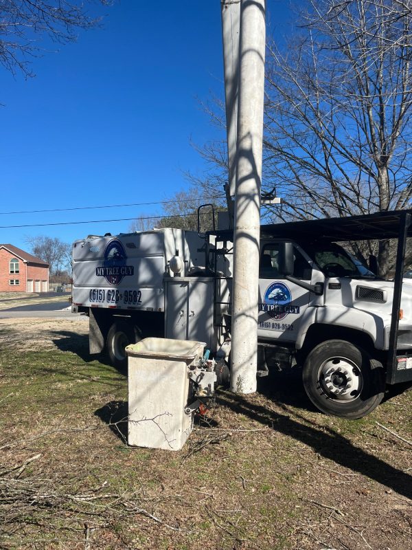 My Tree Guy, Nashville, TN