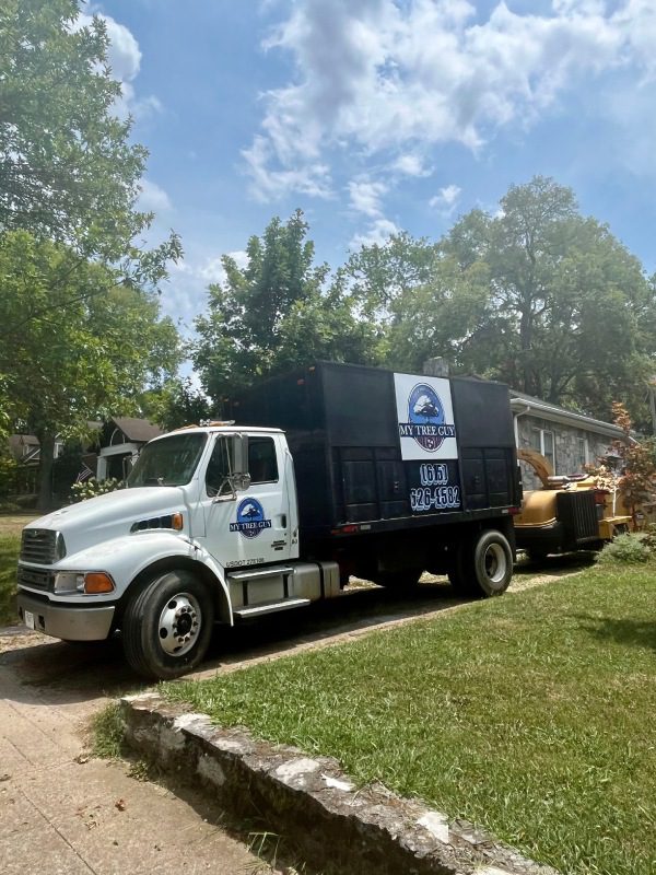 My Tree Guy, Nashville, TN