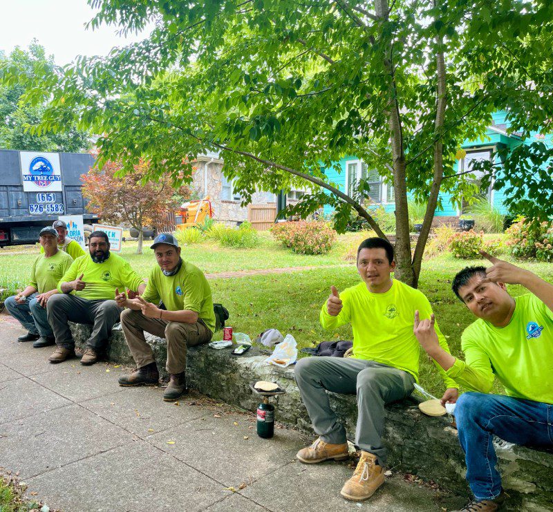 My Tree Guy, Nashville, TN