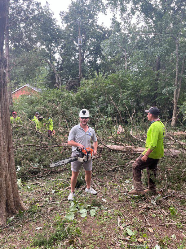 My Tree Guy, Nashville, TN