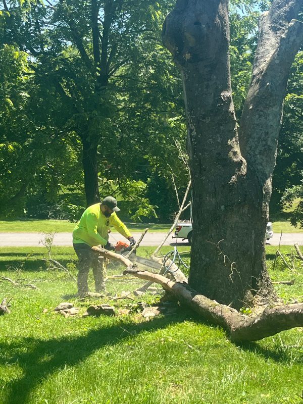My Tree Guy, Nashville, TN