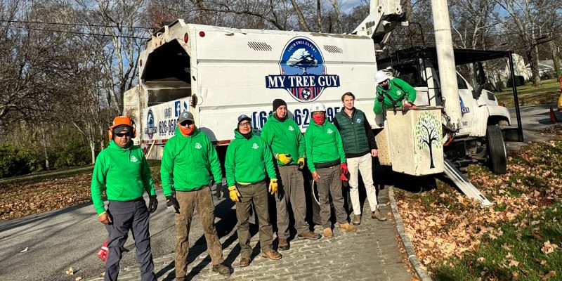 Tree Company in Nashville, Tennessee