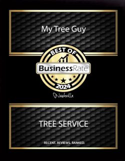 Business-Rate-res2