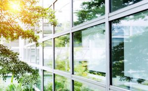 Two Times When You Need Commercial Tree Removal