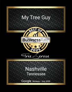 my tree guy businessRate 2025